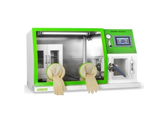 Het Anaërobe Kabinet van het microprocessorcontrolemechanisme, de Cultuurincubator van de Laboratoriumcel
