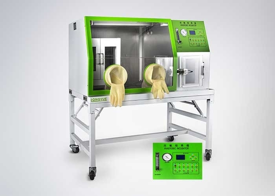 Dubbele het Laboratoriumincubator van de Deur Anaërobe Doos voor Bacteriële Cultuur
