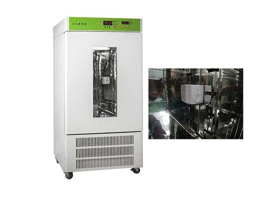 250L de Incubator van de laboratoriummetgezel voor Bacteriële Cultuur 48×49×107cm Grootte
