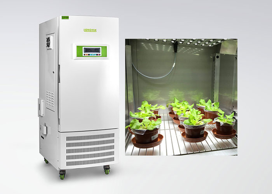 Van de de Germinatieinstallatie van het laboratoriumzaad de Groeikamer 95*70*160cm Grootte