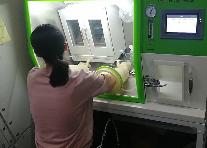 Milieukamer van de laboratorium de Anaërobe Incubator voor Bacteriëncultuur lai-3T